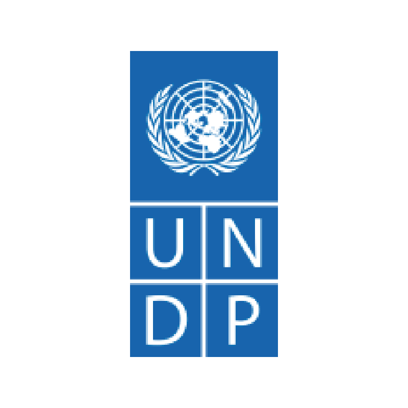 UNDP